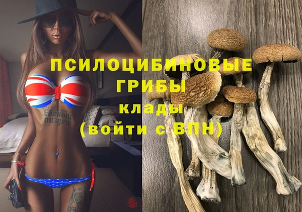 прущие крисы Армянск