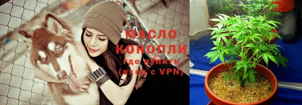 дмт Алзамай