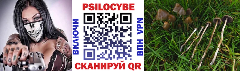 Галлюциногенные грибы Magic Shrooms  Первомайск 
